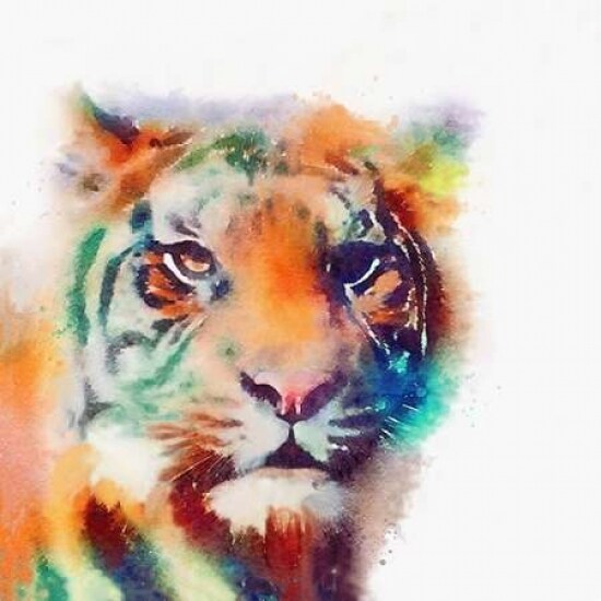 The Elusive II Poster Print by Jacqueline Maldonado - Item # VARPDXM1357D