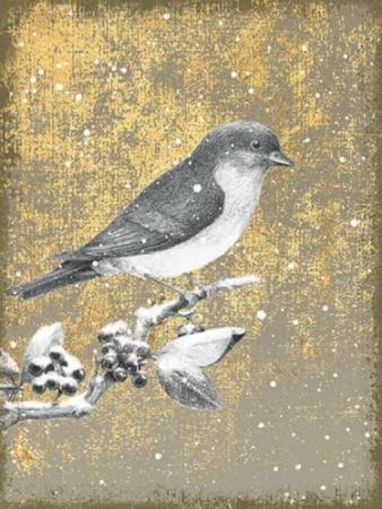 Winter Birds Bluebird Neutral Poster Print by Beth Grove - Item # VARPDX21943