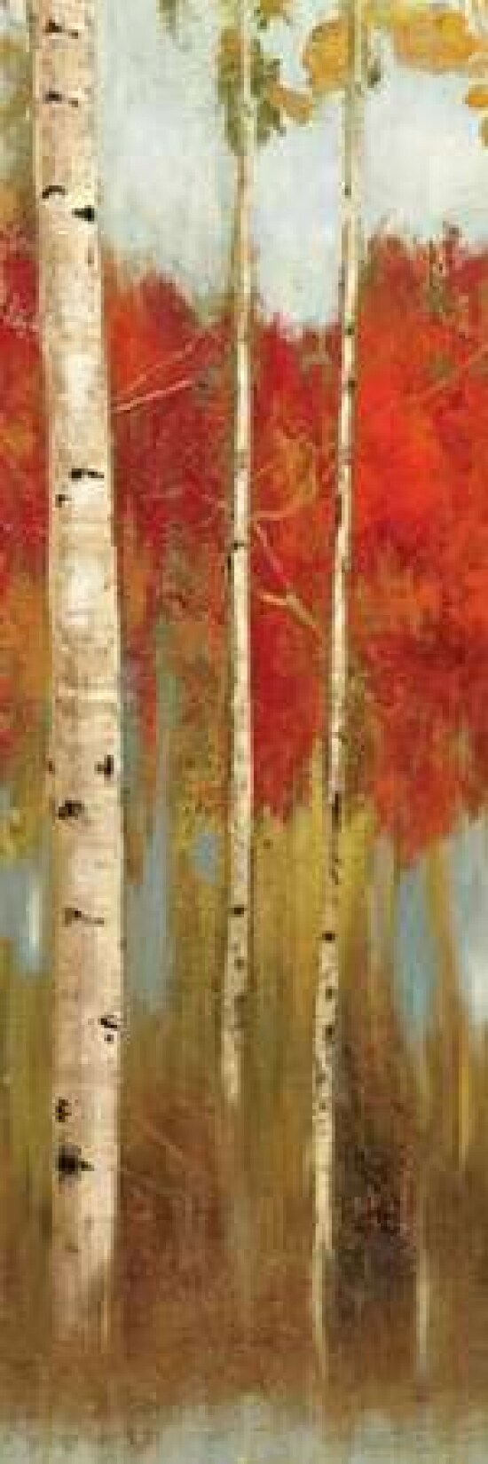 The Edge Lookout I Poster Print by Allison Pearce