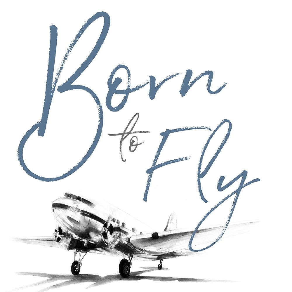 Born To Fly Poster Print by Patricia Pinto - Item # VARPDX12392B