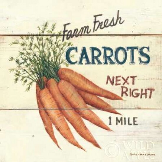 Farm Fresh Carrots Poster Print by David Carter Brown - Item # VARPDX3185