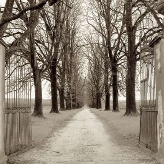 Veneto Giardini - 1 Poster Print by Alan Blaustein - Item # VARPDXABIT1806