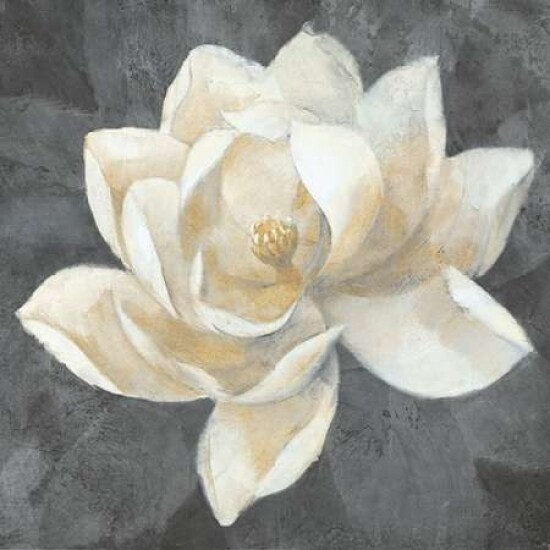 Majestic Magnolia Neutral Sq Poster Print by Albena Hristova - Item # VARPDX23185