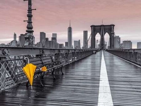 Yellow umbrella and bunch of roses on bench on pedestrian pathway, Brooklyn bridge, New York Poster Print by  Assaf Frank - Item # VARPDXAF20131116295C08