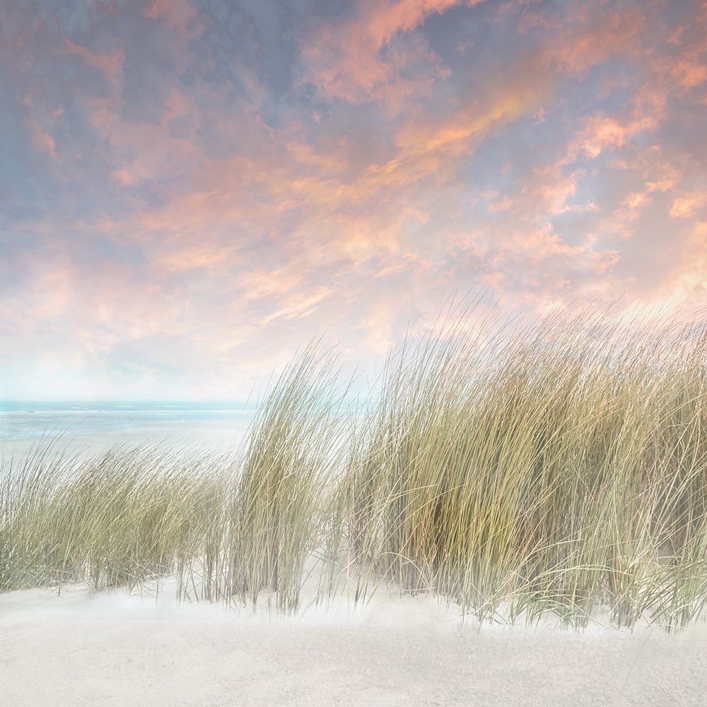 Windswept II Poster Print by Mike Calascibetta - Item # VARPDX40299