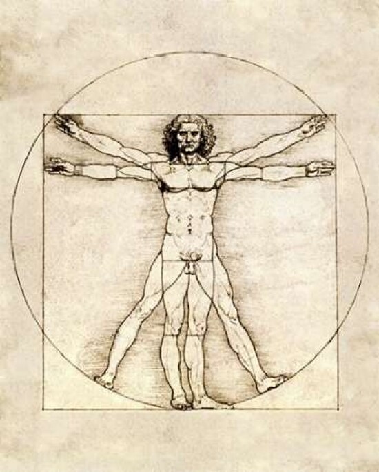 Proportions of the Human Figure - Vitruvian Man Poster Print by Leonardo Da Vinci - Item # VARPDX277250