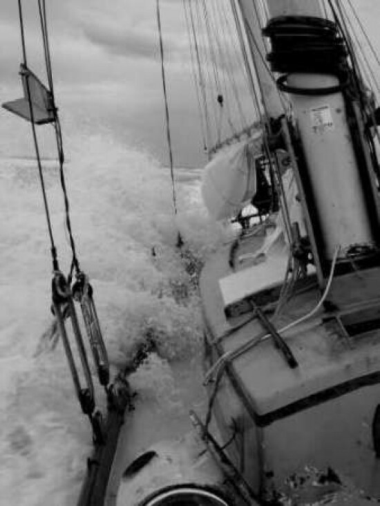 Life at Sea I Poster Print by Brian Kidd - Item # VARPDXPSKID129