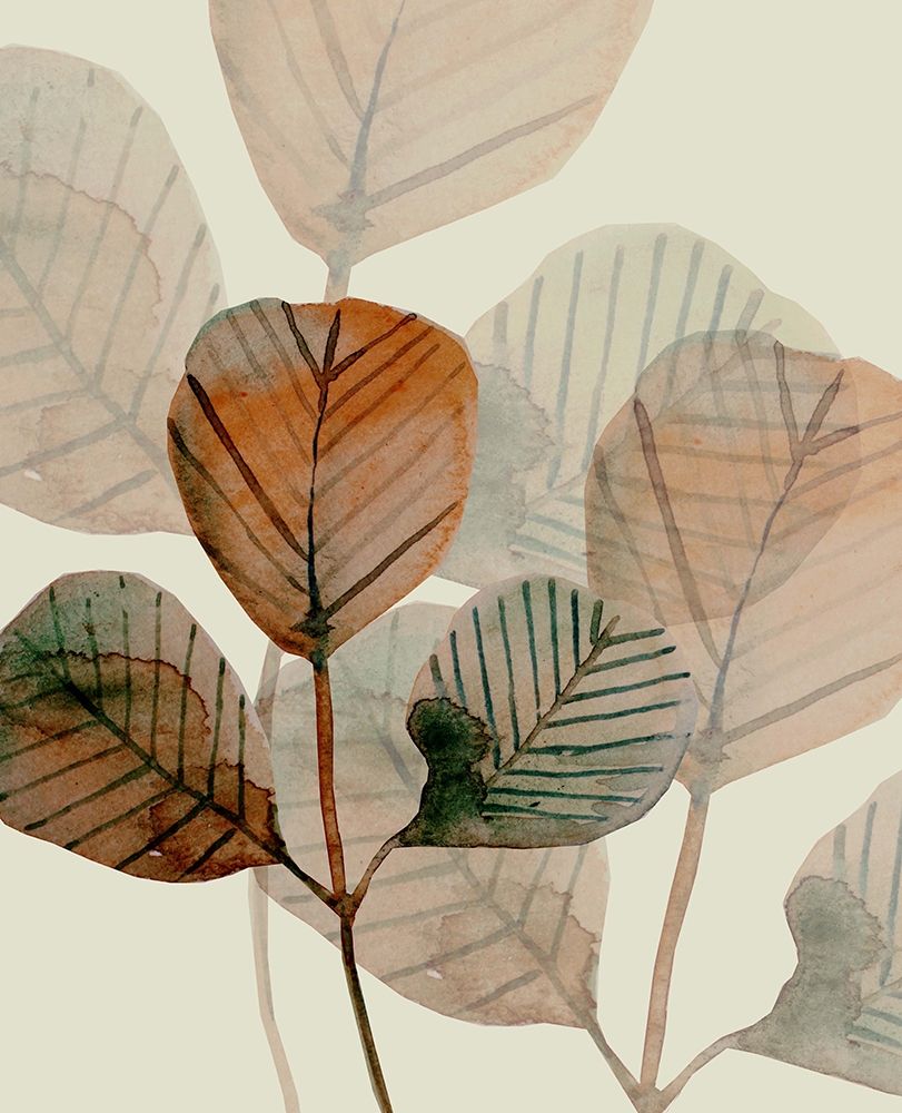 Brown Leaves 1 Poster Print by Boho Hue Studio - Item # VARPDXBHSRC013A