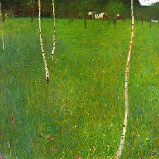 Farmhouse With Birch Trees Poster Print by Gustav Klimt - Item # VARPDX373329