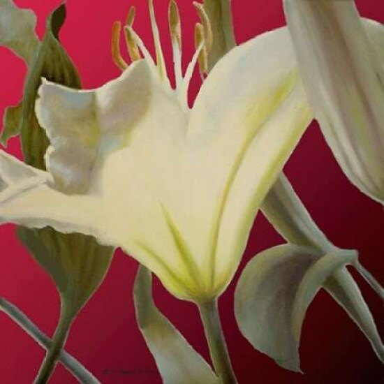 Lily Red Poster Print by Jan McLaughlin - Item # VARPDXM1067D