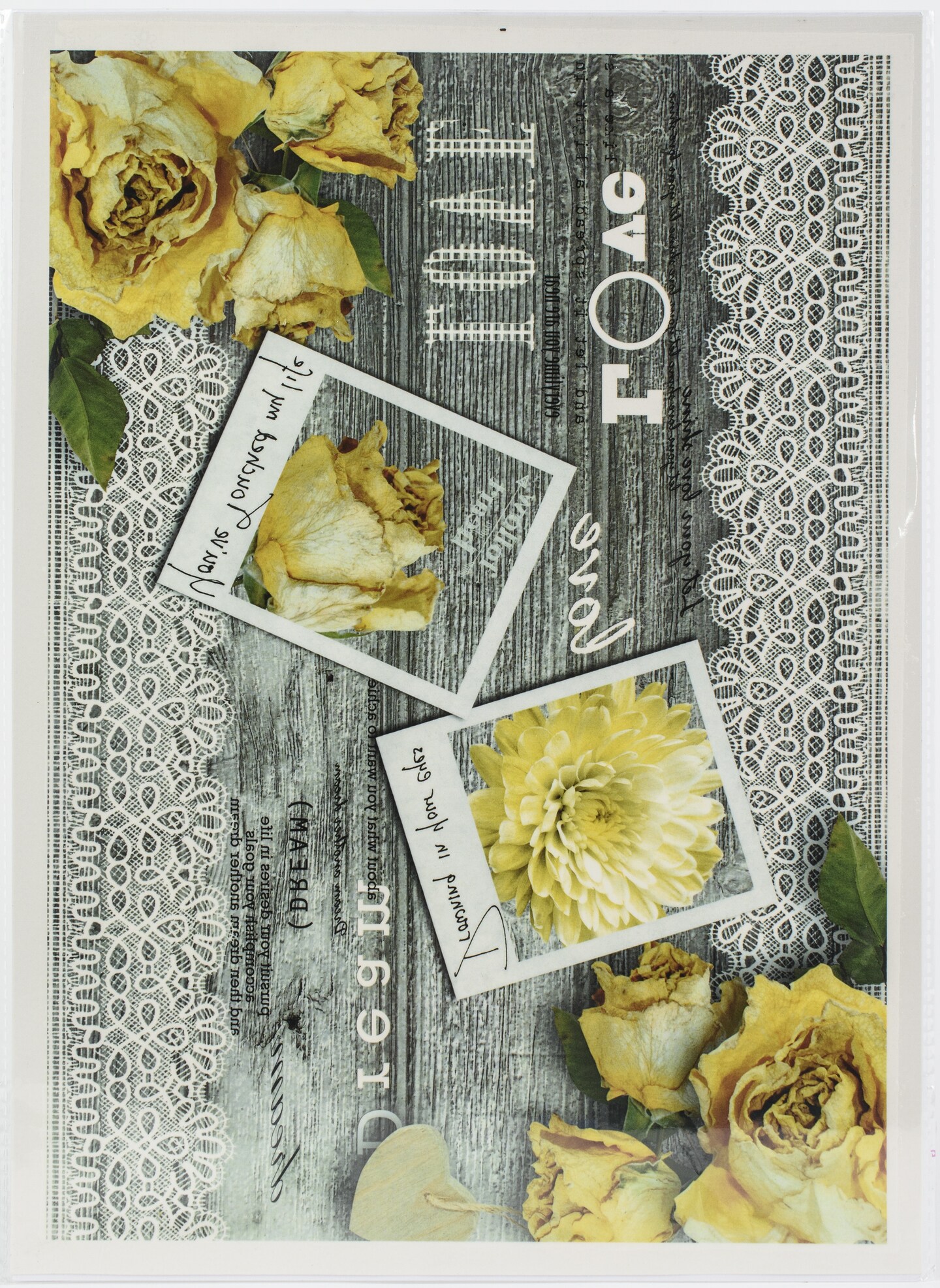 Dress My Craft Transfer Me Sheet A4-Kodak Click