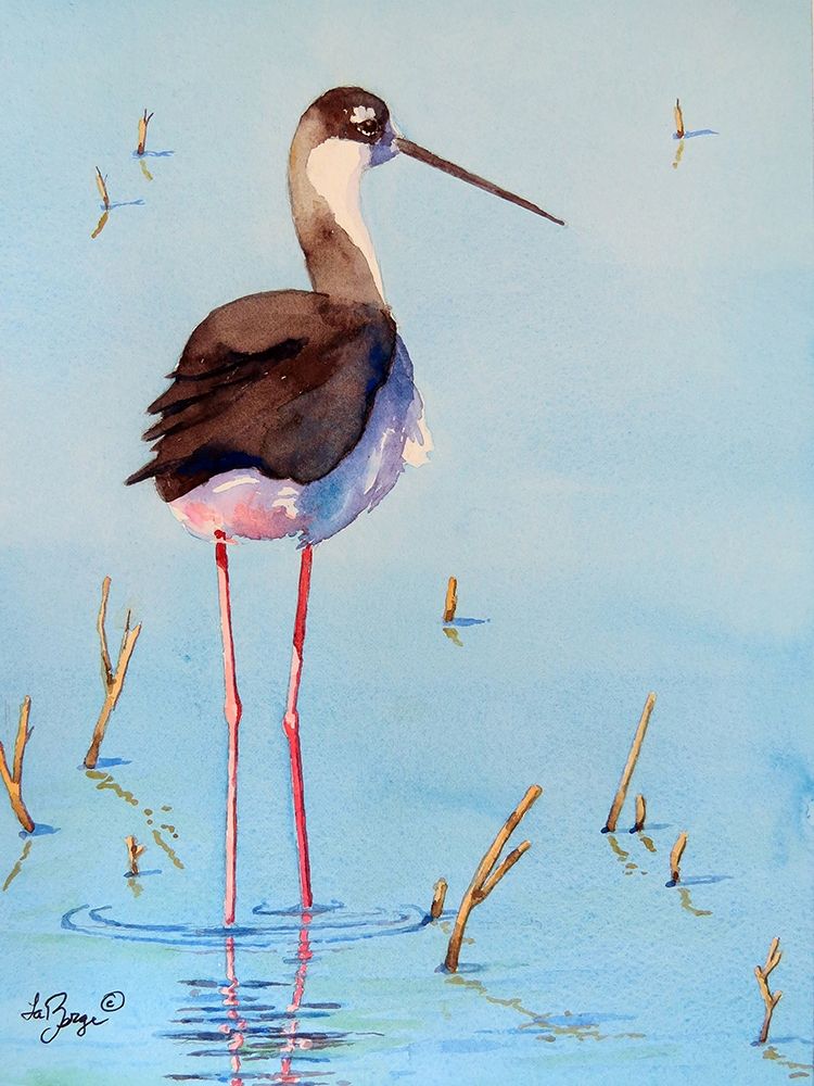 Black Neck Stilt III Poster Print by Nancy LaBerge Muren - Item # VARPDXM1525D