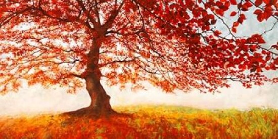 Red Leaves Poster Print by Jan Eeelder - Item # VARPDX2JE2859