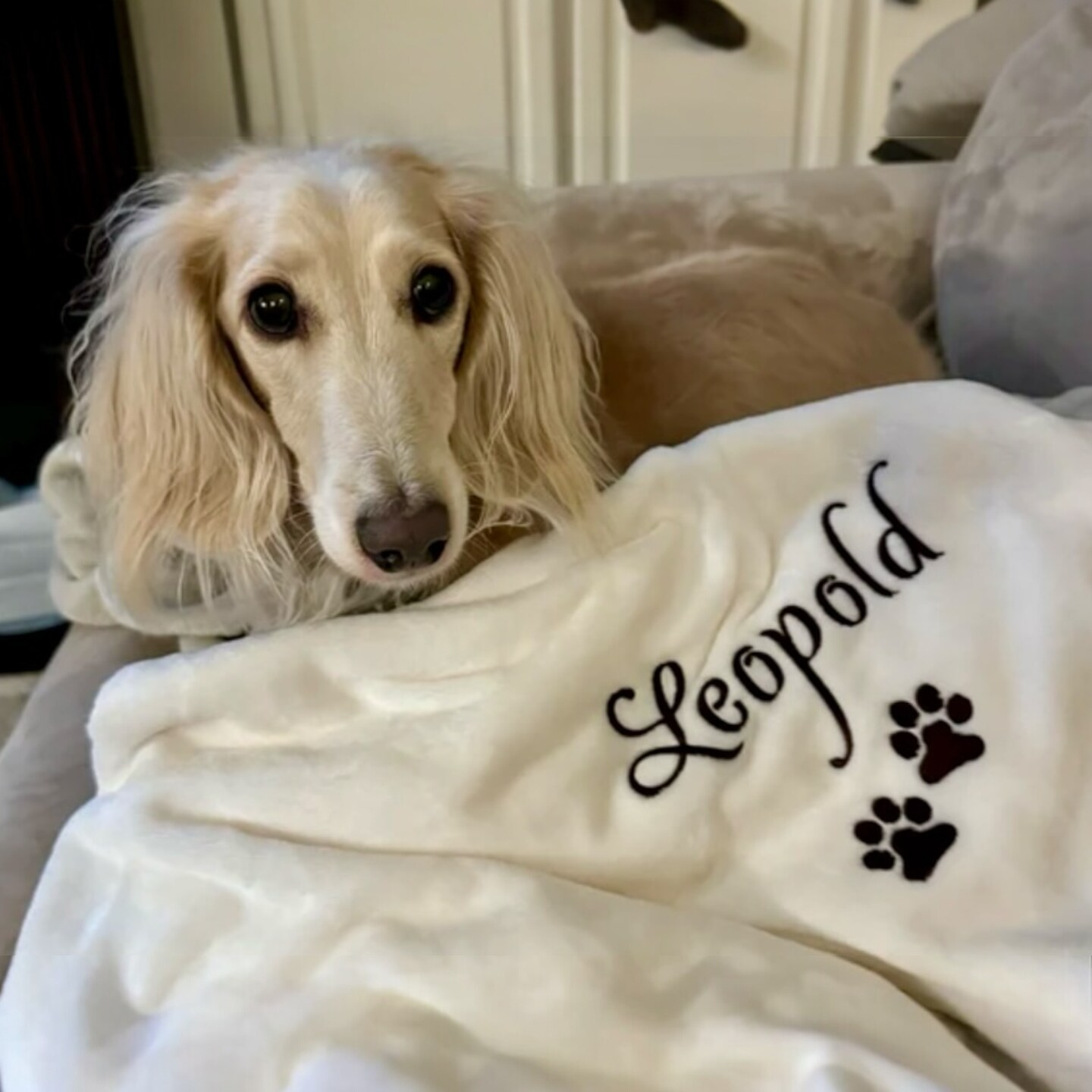 Personalized Dog Blanket With Paw Prints MakerPlace by Michaels