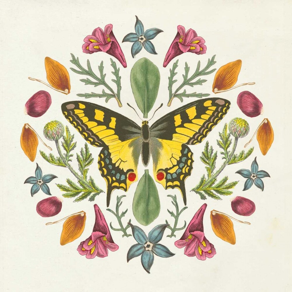 Butterfly Mandala III Poster Print by Wild Apple Portfolio - Item # VARPDX34404HR