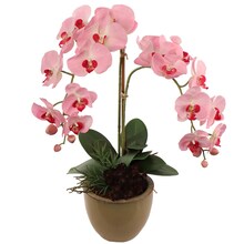 33.5&#x22; Pink Phalaenopsis Orchid Stems (12-Pack) - Real Touch Faux Flowers with 9 Blooms &#x26; 2 Buds, Perfect for Bouquets, Events &#x26; Home Decor - Elegant Year-Round Accent - Floral Home by Artificial Flowers