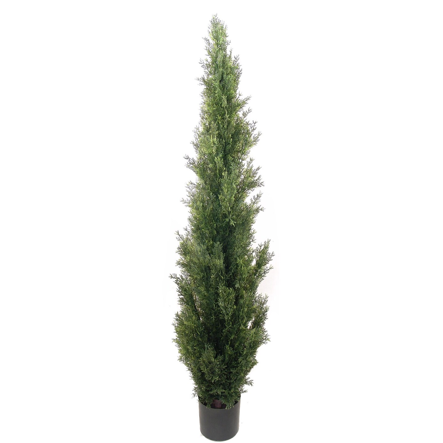 5ft Cedar Topiary Tree in Black Pot by Floral Home&#xAE;