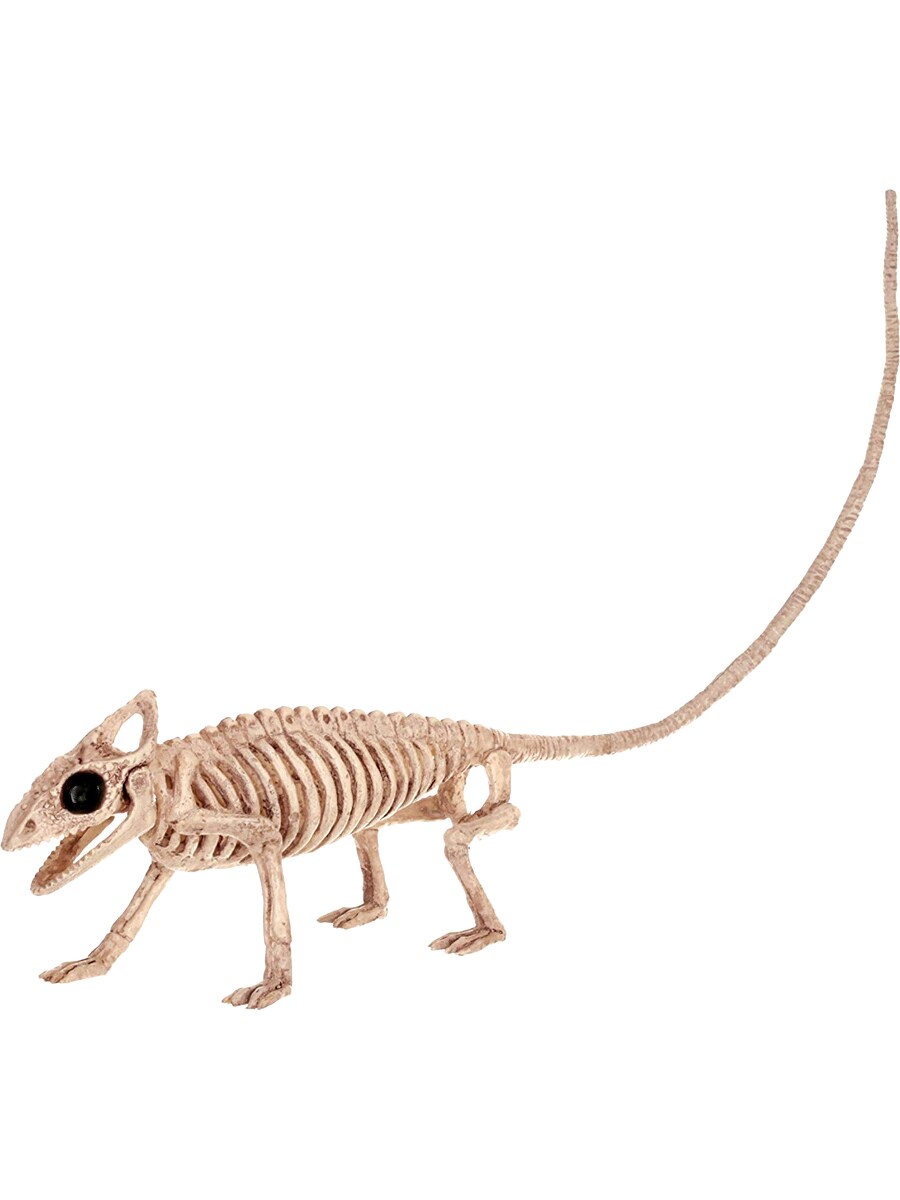 Small Gecko Skeleton Decoration