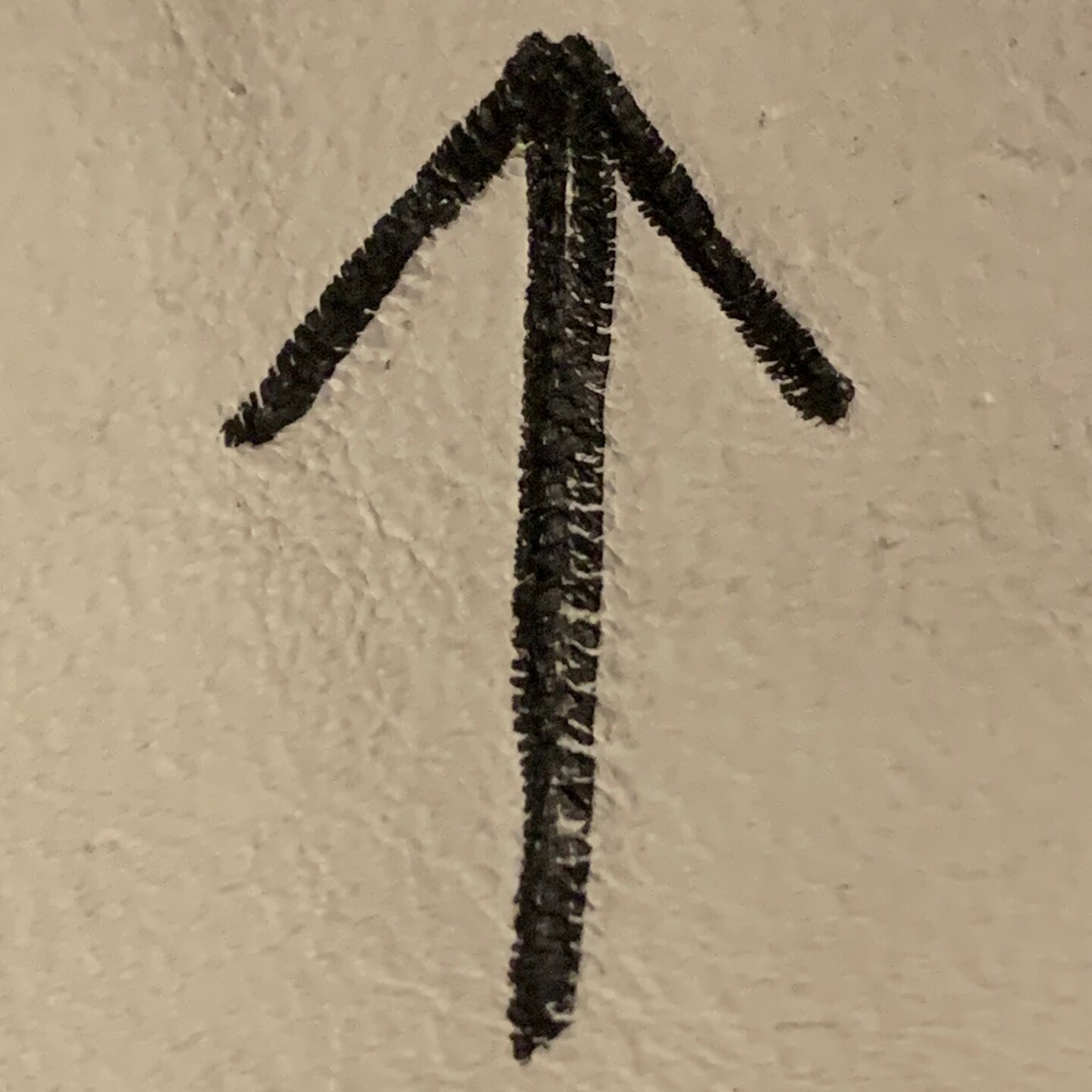 storefront logo