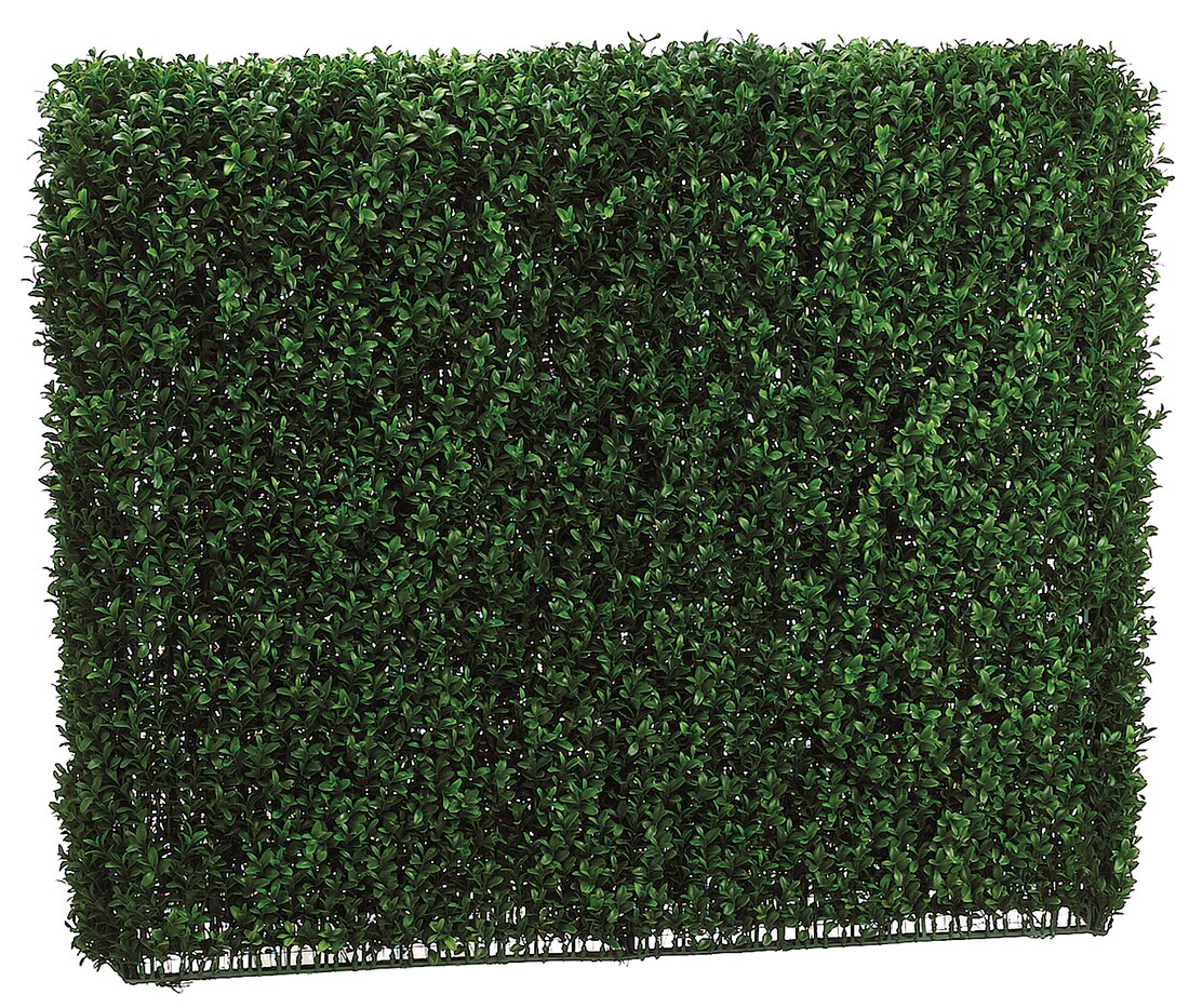 33 Inch Tall Boxwood Hedge Two Tone Green