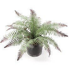 2-Pack: Frost River Fern Bush with 15 Realistic Latex Leaves, 22&#x22; Wide, UV Resistant, Faux Greenery by Floral Home&#xAE;