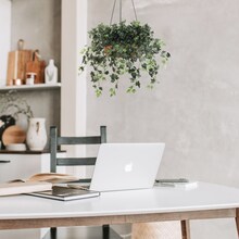 2-Pack English Hanging Bush - 19" Lush Faux Greenery with Silk Leaves for Home & Garden Decor by Floral Home®