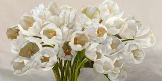 Tulipes blanches Poster Print by Leonardo Sanna - Item # VARPDX2LN3644