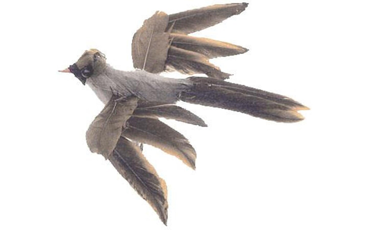 AD Fthr Flying Cardinal Female 4&#x22; 1pc