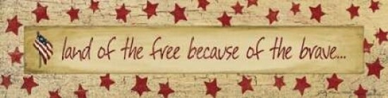 Land of the Free Poster Print by Jo Moulton - Item # VARPDXJM6306