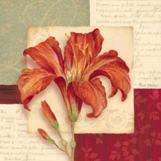 Bella Donna II Poster Print by Pamela Gladding - Item # VARPDXGLA418