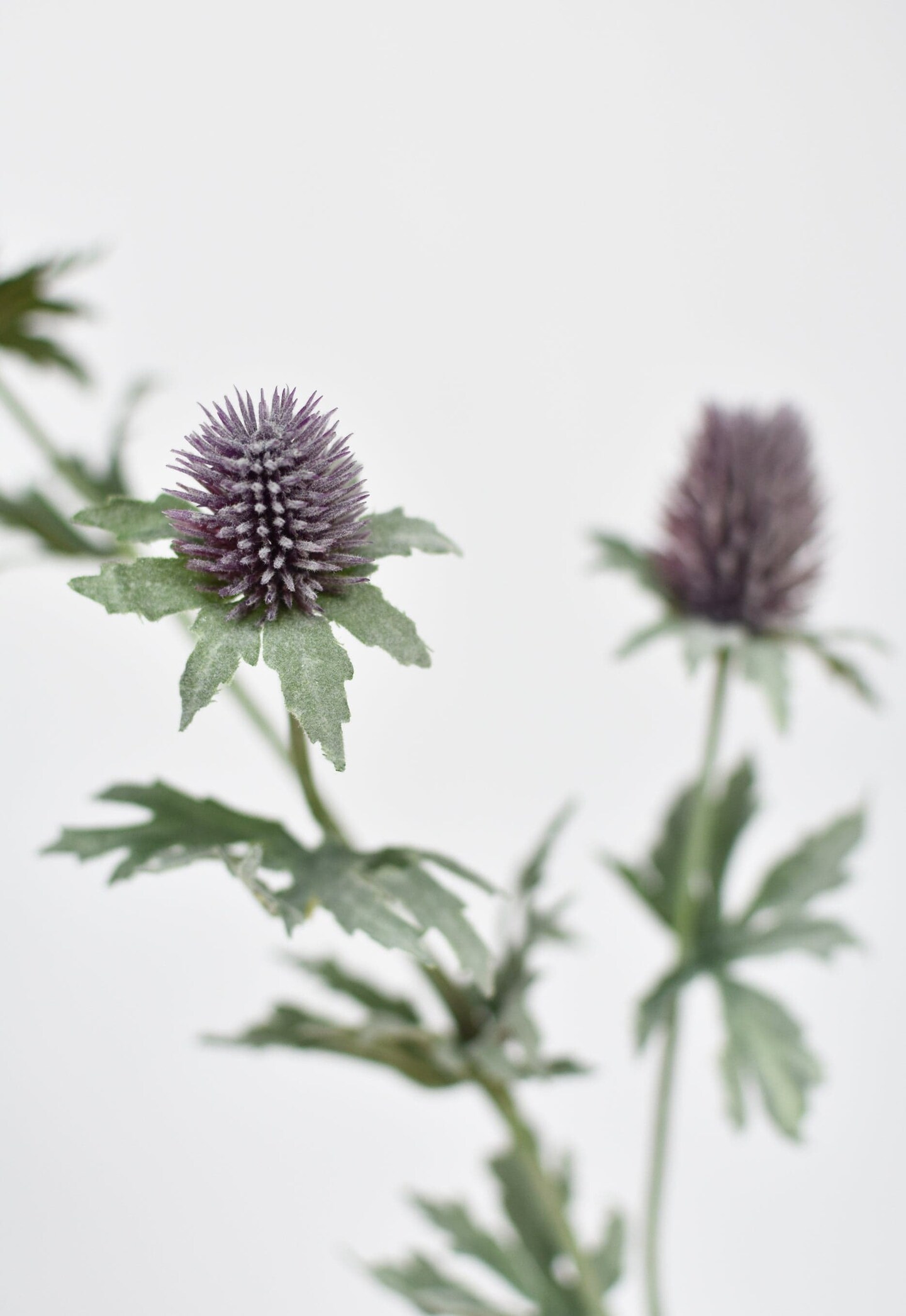 31&#x22; Faux Lavender Thistle Stem