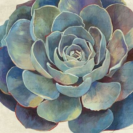Succulence I - Mini Poster Print by Aimee Wilson, Size: Small | Michaels