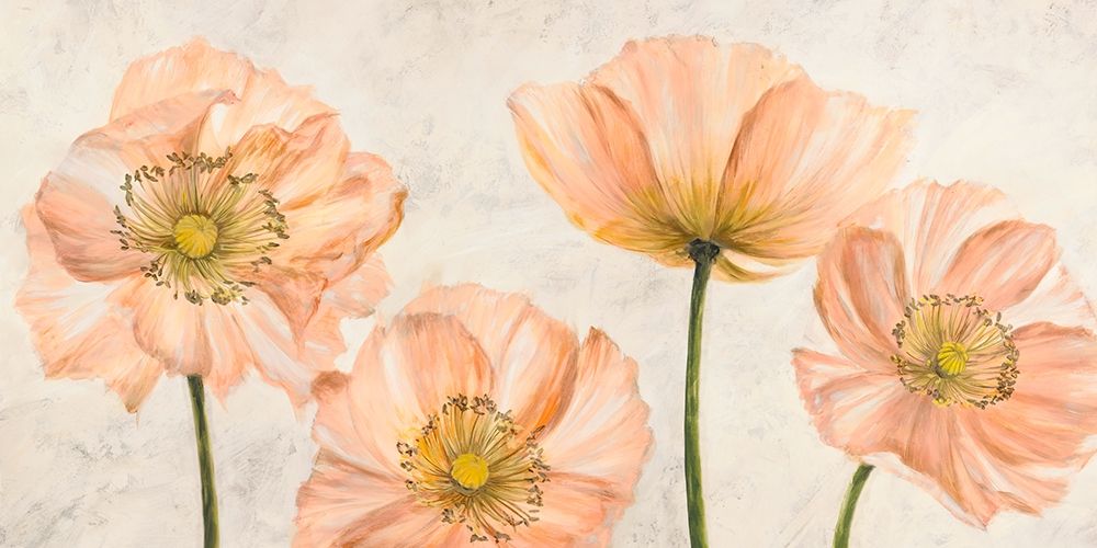 Poppies in Pink Poster Print by Villa Luca - Item # VARPDX2LC4505