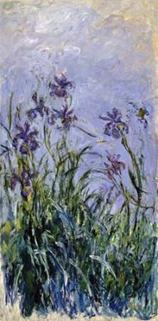 Iris mauves Poster Print by Claude Monet - Item # VARPDX265187
