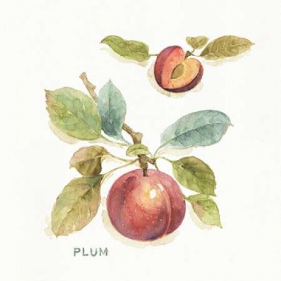Orchard Bloom IV Poster Print by Lisa Audit - Item # VARPDX21740