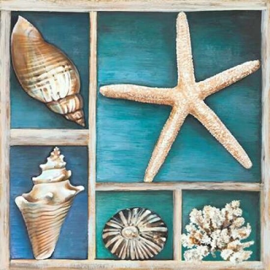 Collection of Memories II Poster Print by Ted Broome - Item # VARPDX1BR3894