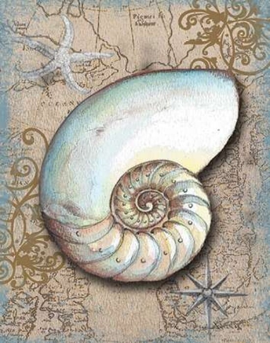 Nautical Treasures III Poster Print by Donna Knold - Item # VARPDXKLD034