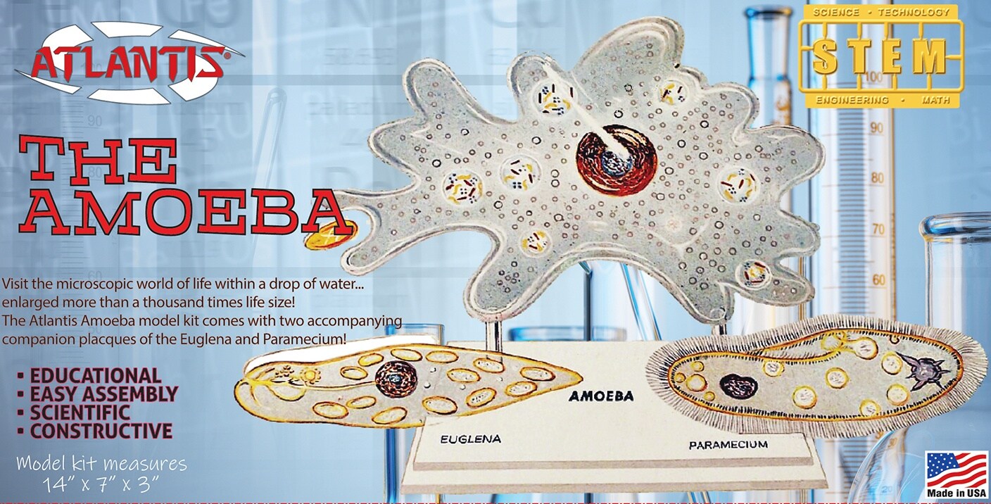 Atlantis Plastic Model Kit-The Amazing Amoeba STEM