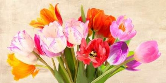 Tulips in Spring Poster Print by Luca Villa - Item # VARPDX2LC2929