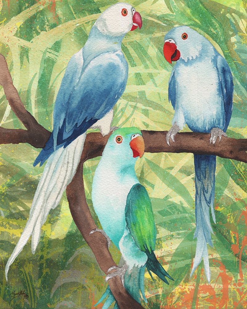Tropical Birds I Poster Print by Elizabeth Medley - Item # VARPDX12553M