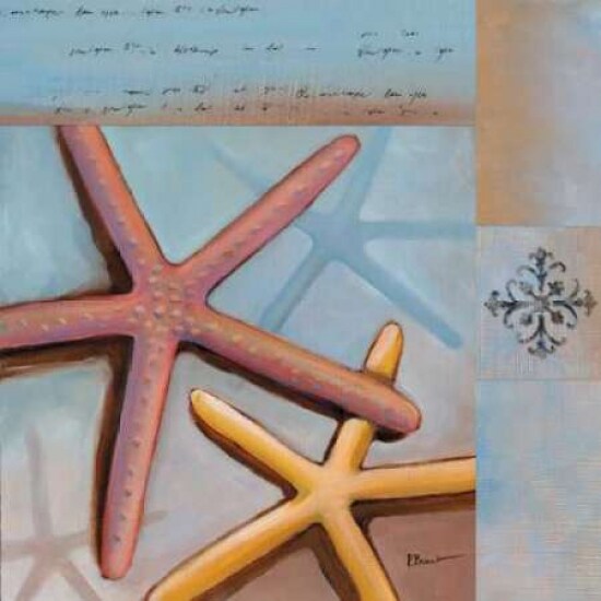 Sanibel Starfish Poster Print by Paul Brent - Item # VARPDXBNT109