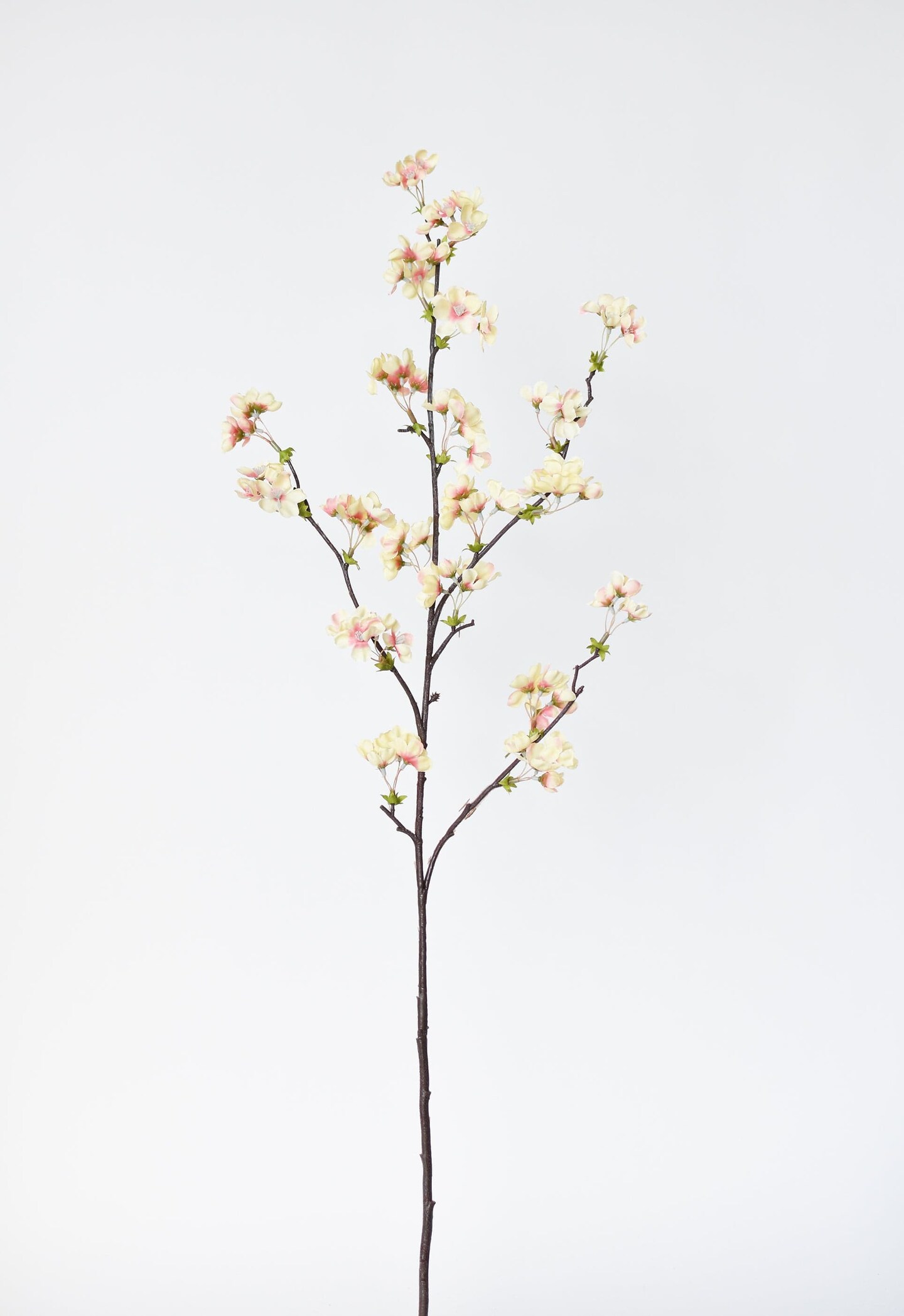 36&#x22; Faux Quince Blossom Apricot Cream Stem Flowering Branch