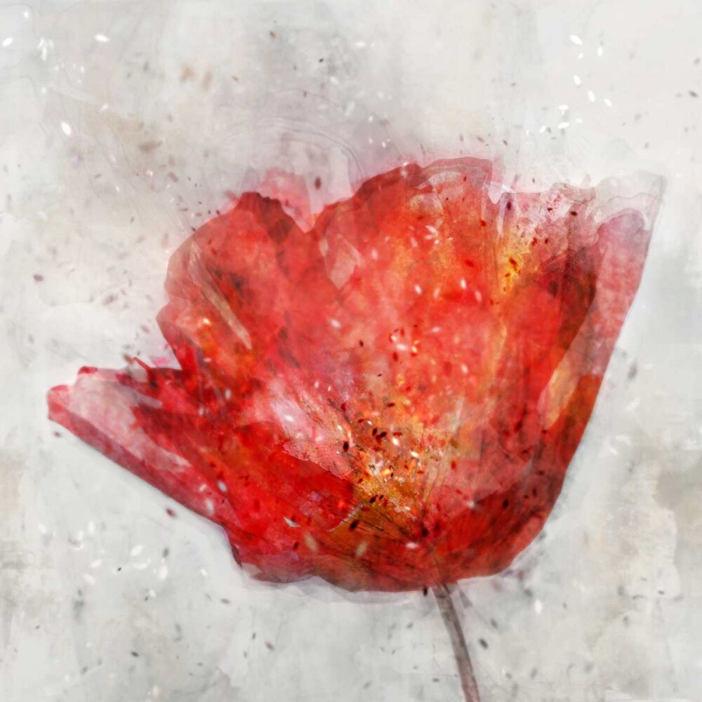 Inkly Floral II Poster Print by Ken Roko - Item # VARPDXKX054A