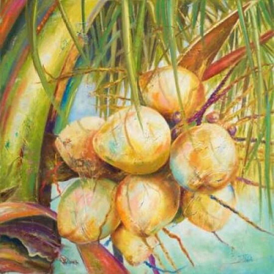 Patricias Coconuts I Poster Print by Patricia Pinto - Item # VARPDX9385