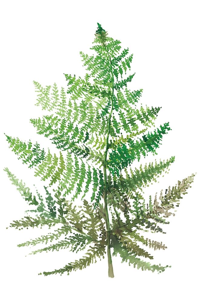 Wild Greens I Poster Print by Rebecca Meyers - Item # VARPDXPOD60275