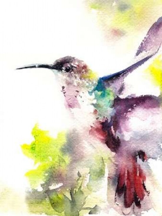 Hummingbird Poster Print by  CanotStop - Item # VARPDXC1088D