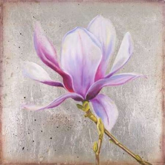 Magnolia on Silver Leaf II Poster Print by Patricia Pinto - Item # VARPDX8783B
