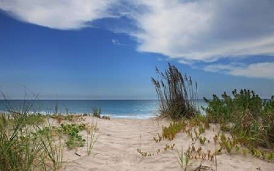 Dune Trail Poster Print by Brent Anderson - Item # VARPDXA369D