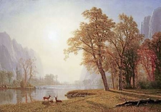 Yosemite Valley Poster Print by  Albert Bierstadt - Item # VARPDX267721