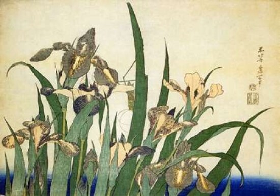 Irises Poster Print by Hokusai - Item # VARPDX373140